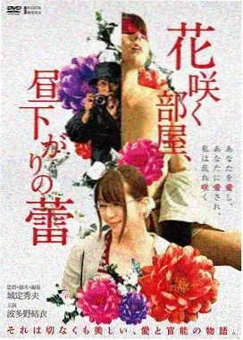 诺拉艾芙隆纪录片资讯图